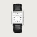 LUEUR CLASSIQUE SILVER 31MM WITH MYSTERIEUX STRAP